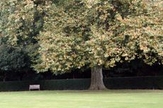 B-Herbststimmung 043.jpg